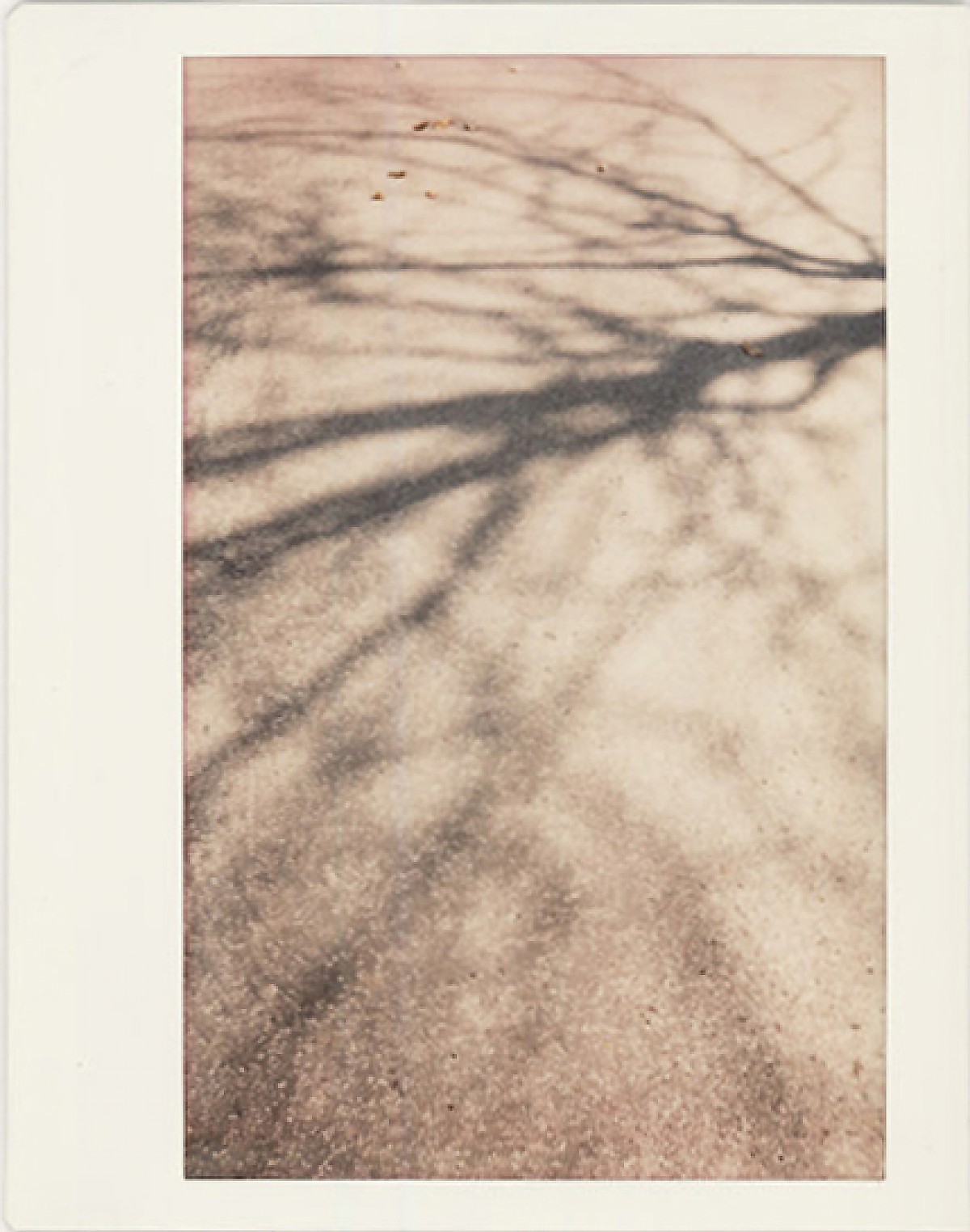 Schatten II